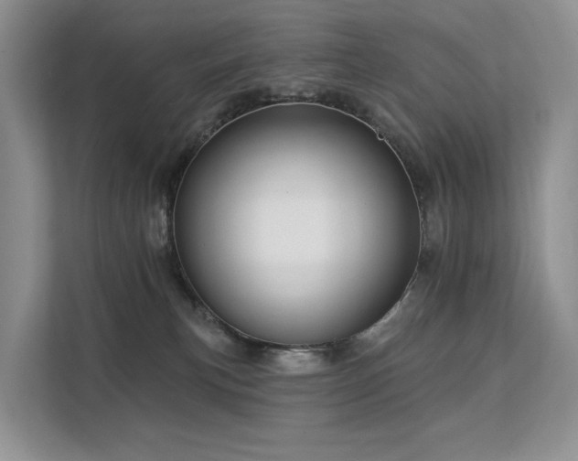 X0000112160183200908071145