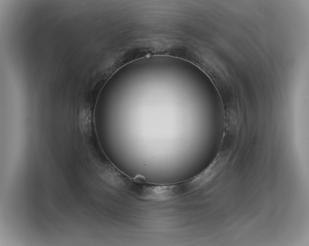 X0000112160184200908071145