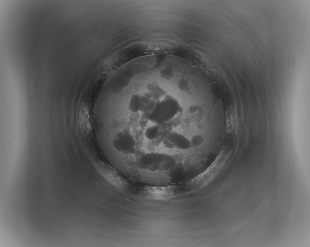 X0000112160187200908071145