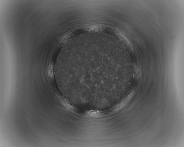X0000112160189200908071145