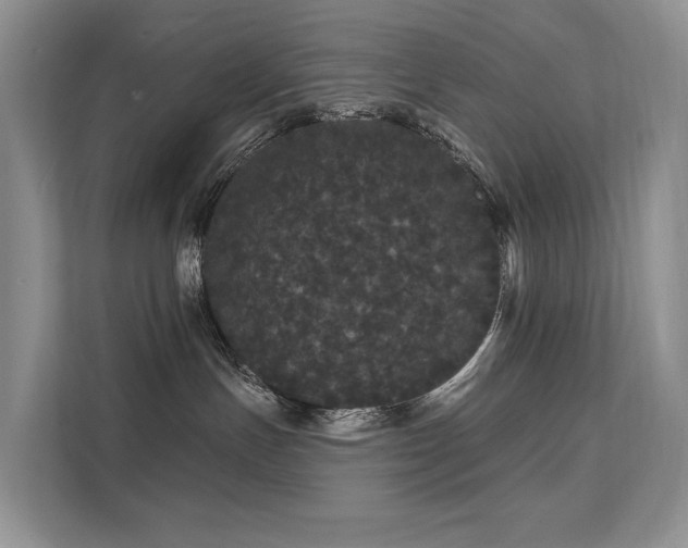X0000112160191200908071145