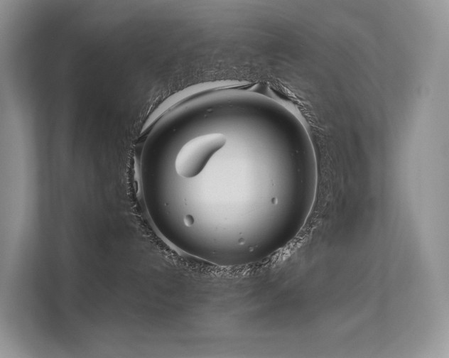 X0000112160192200908071145