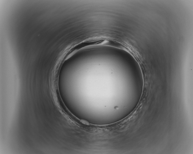 X0000112160193200908071145