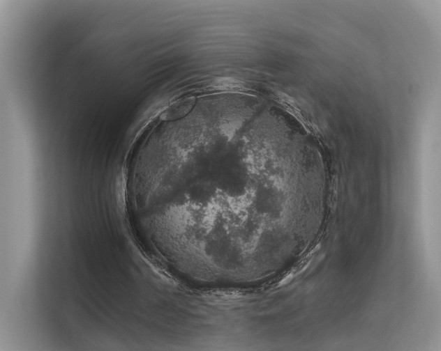X0000112160194200908071145