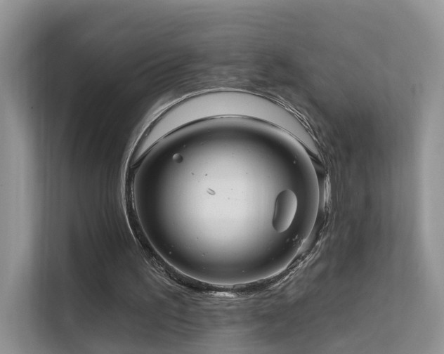 X0000112160195200908071145