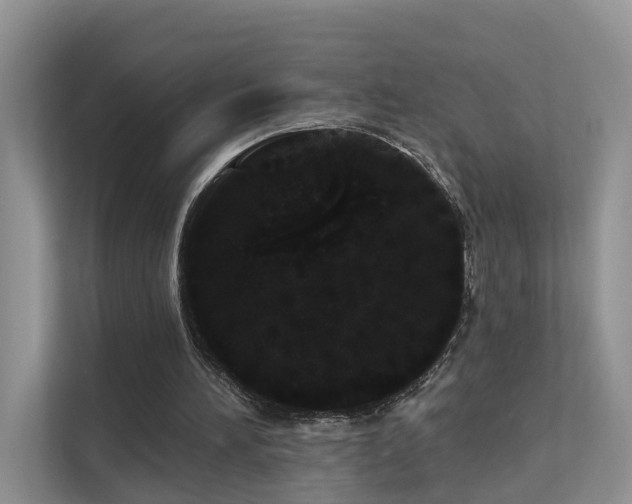 X0000112160196200908071145