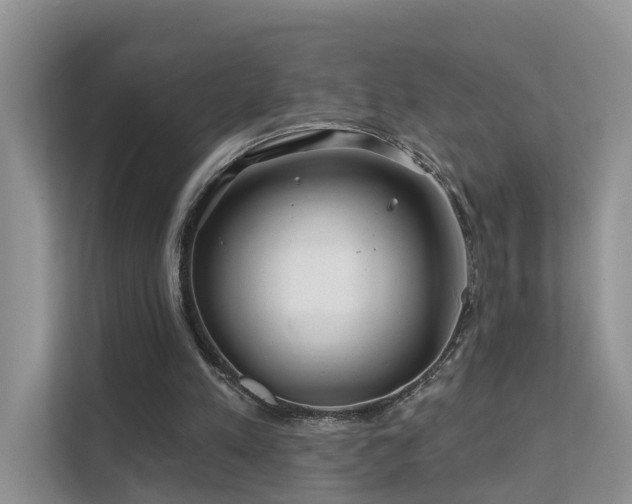 X0000112160197200908071145