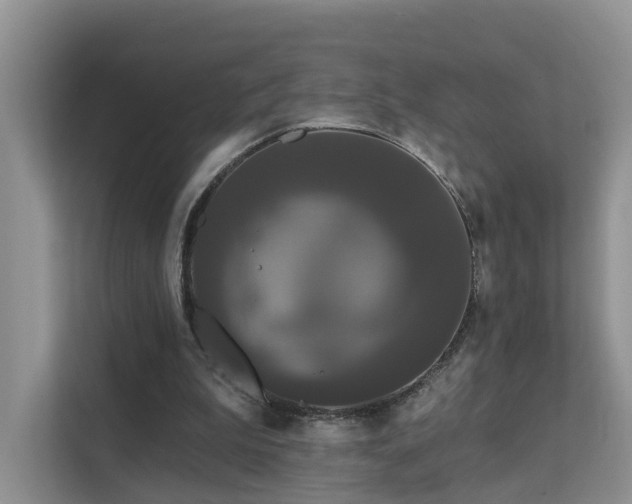 X0000112160199200908071145