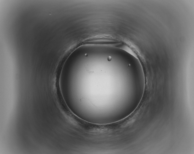 X0000112160201200908071145