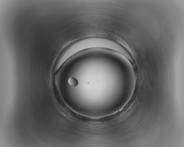 X0000112160203200908071145