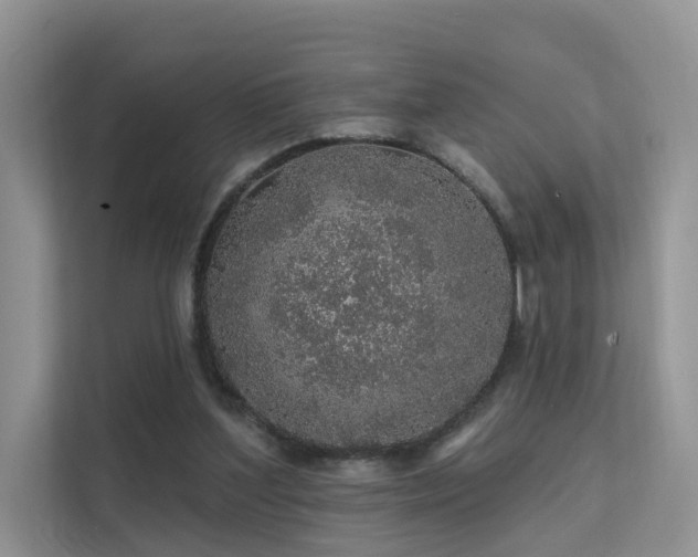 X0000112160204200908071145