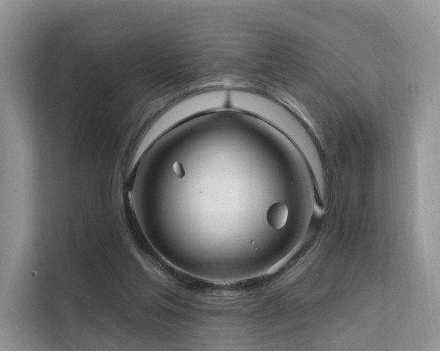 X0000112160205200908071145