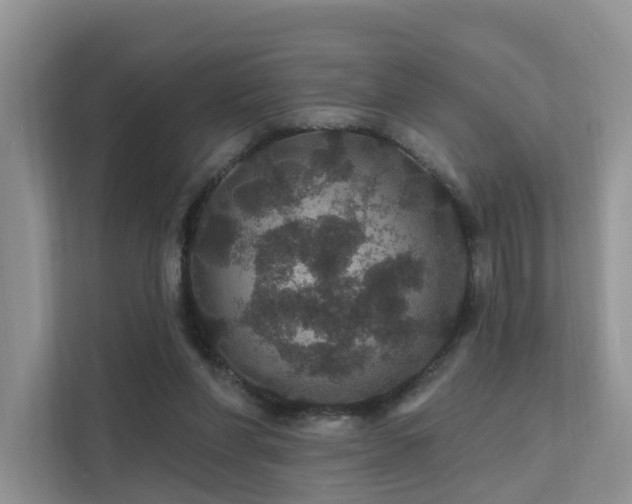 X0000112160206200908071145