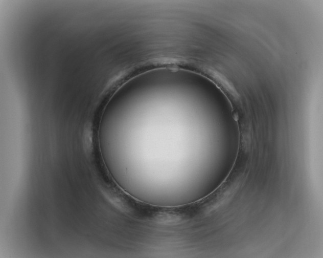 X0000112160207200908071145