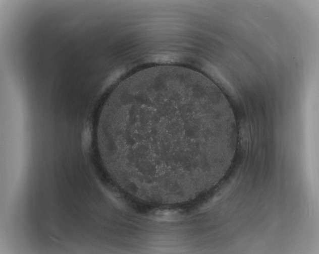 X0000112160208200908071145