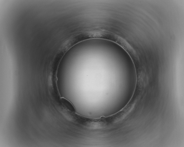 X0000112160209200908071145
