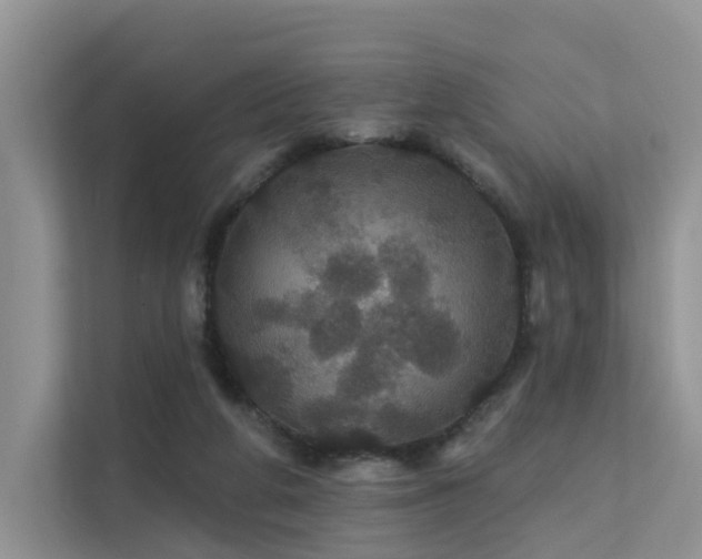 X0000112160210200908071145