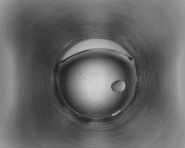 X0000112160211200908071145