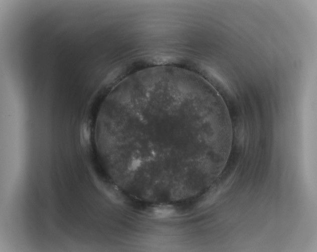X0000112160214200908071145