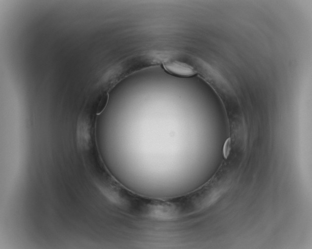 X0000112160215200908071145