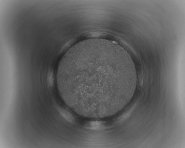 X0000112160216200908071145