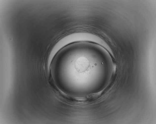 X0000112160217200908071145
