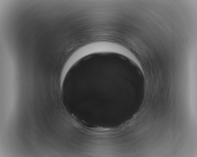 X0000112160219200908071144