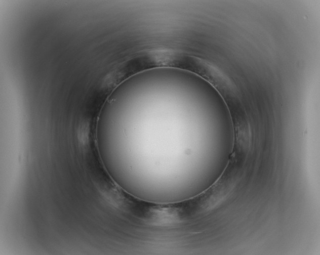 X0000112160221200908071144