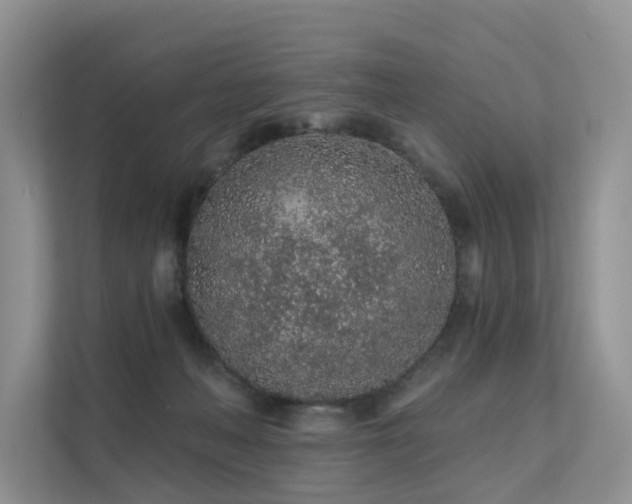 X0000112160222200908071144