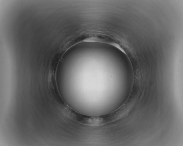 X0000112160225200908071144