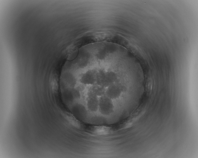 X0000112160226200908071144
