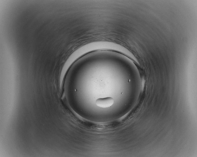 X0000112160229200908071144