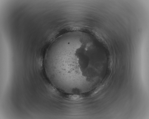 X0000112160230200908071144