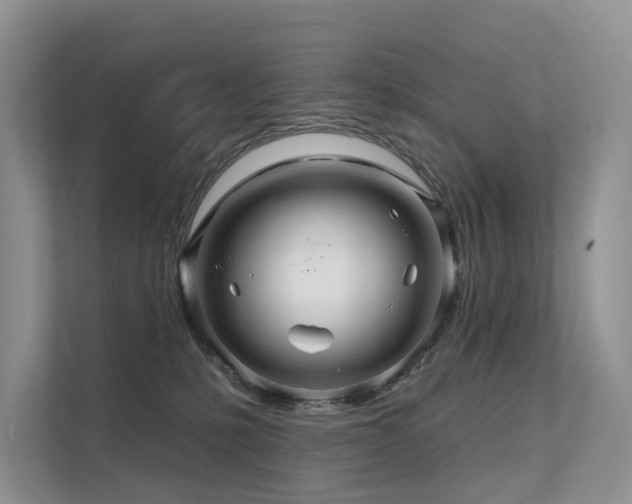 X0000112160231200908071144