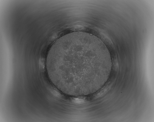 X0000112160232200908071144