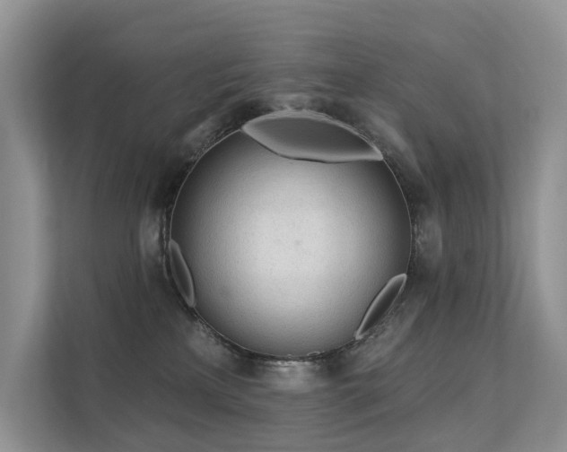 X0000112160233200908071144