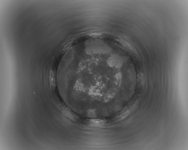 X0000112160234200908071144