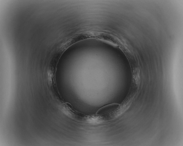 X0000112160235200908071144