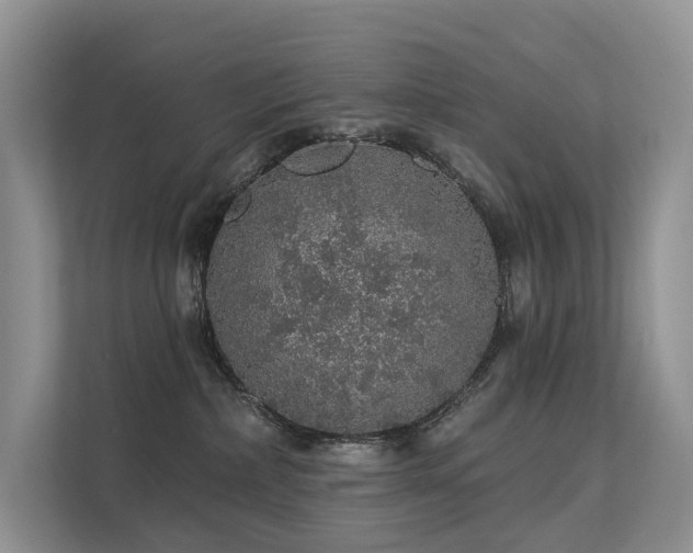 X0000112160236200908071144