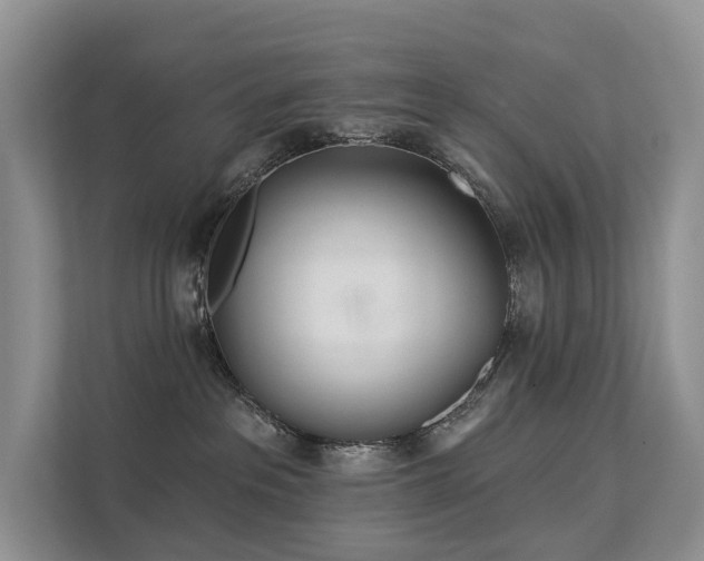 X0000112160237200908071144