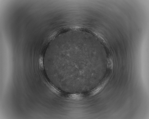 X0000112160238200908071144