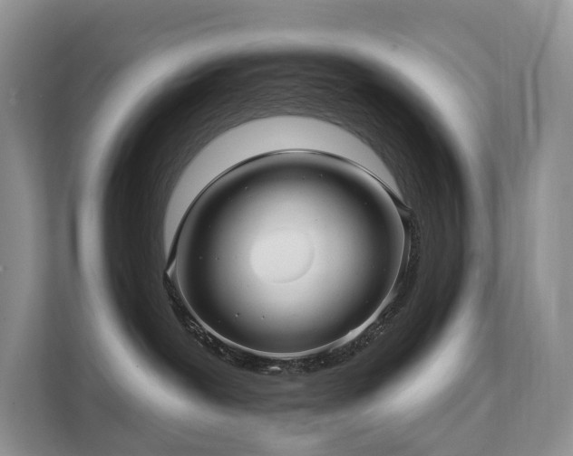 X0000112160239200908071144
