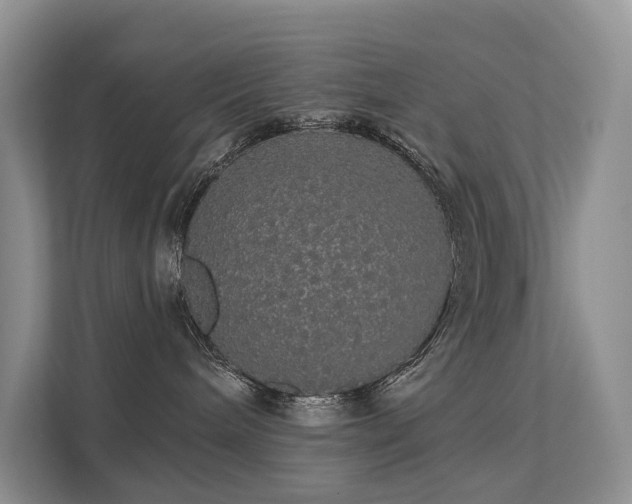 X0000112160240200908071144
