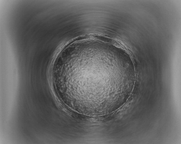 X0000112160241200908071144