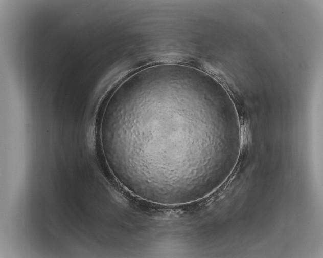 X0000112160243200908071144