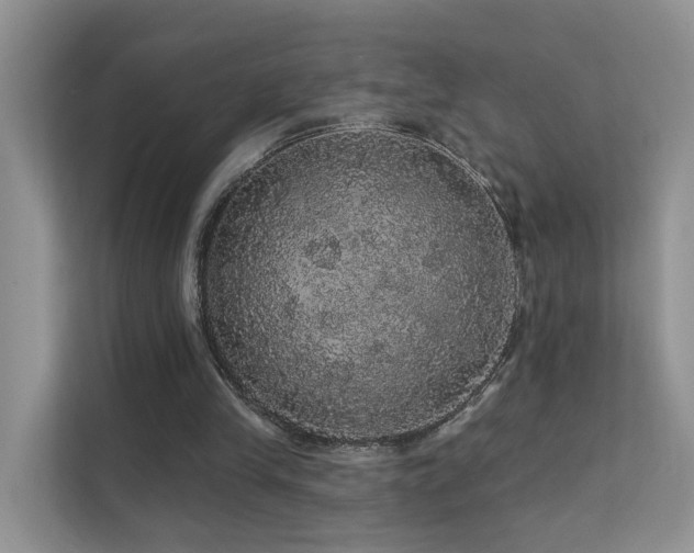 X0000112160245200908071144