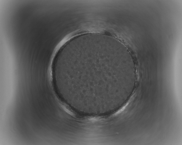 X0000112160246200908071144