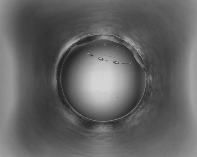 X0000112160248200908071144