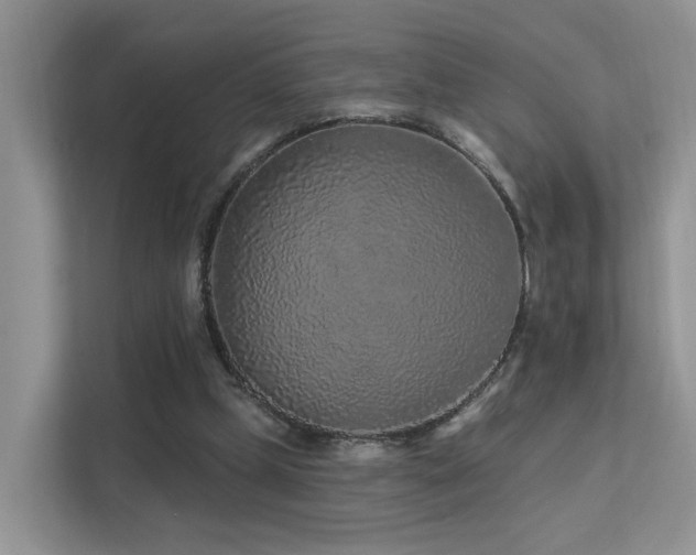 X0000112160249200908071144