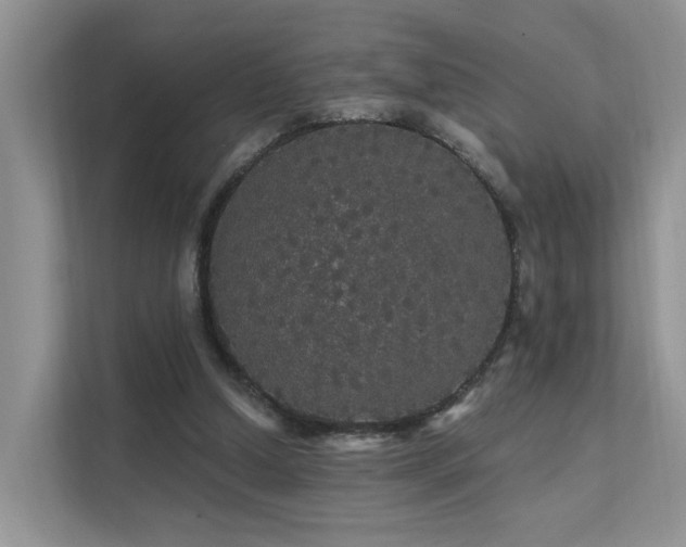 X0000112160250200908071144